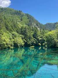 九寨溝神仙玩法攻略
