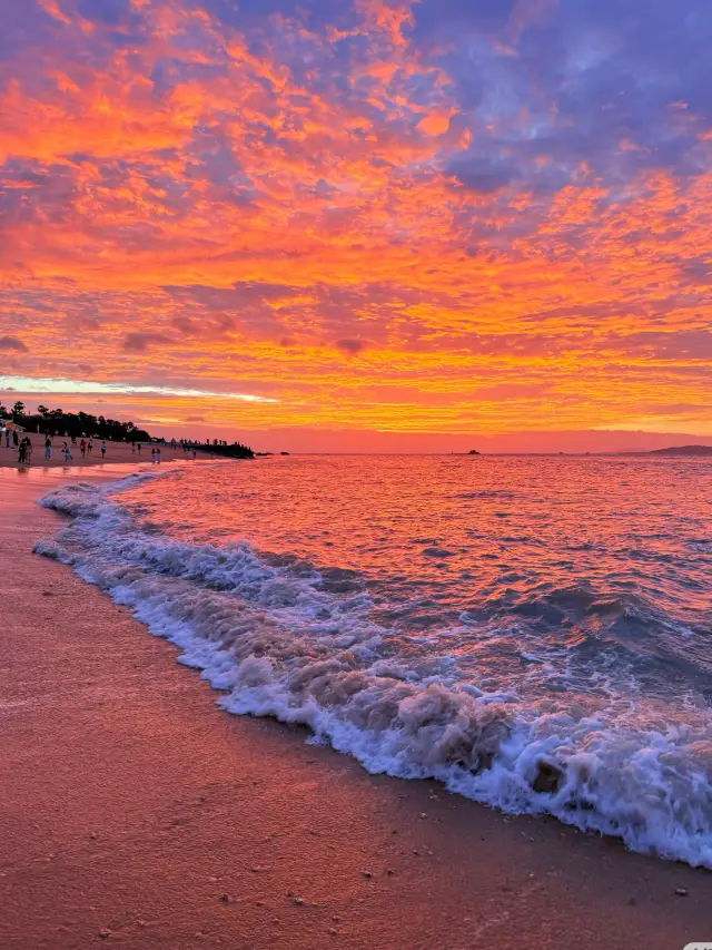 Xiamen Travel Guide: 4 Days & 3 Nights Exploring the "Garden on the Sea"