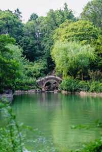 誤入森林秘境/盛夏時節嘅古華園