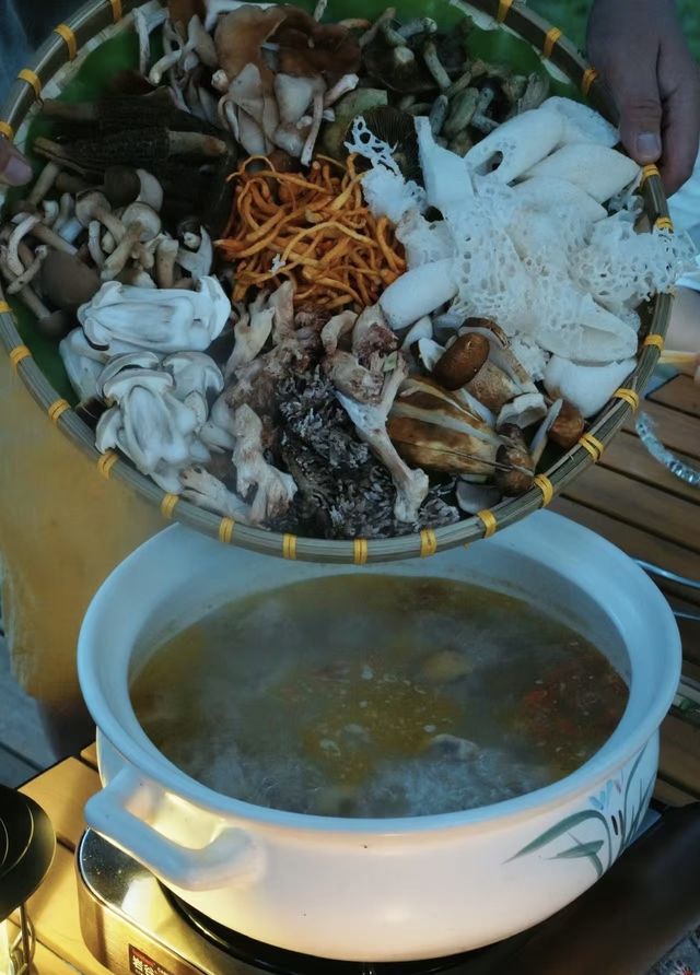 昆明市清邁縣！靚到癲……森林野生菌莊園