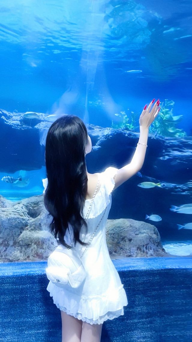 鄭州海洋館 | 超詳細遊玩攻略