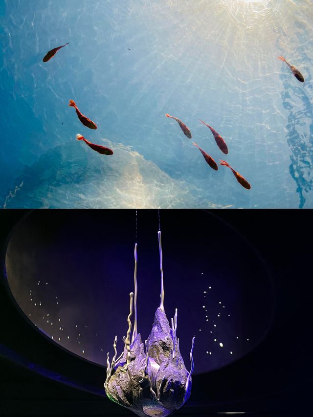 夢幻溫室花園冇白嚟！湊B好去處