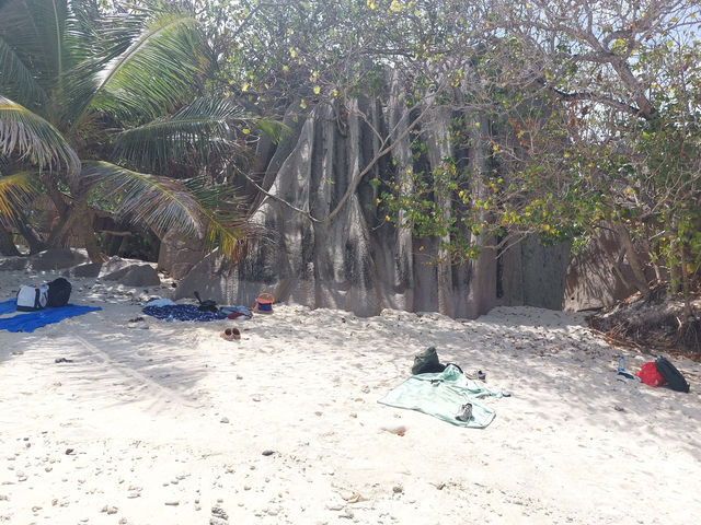 Visit La Digue's Stunning Beach