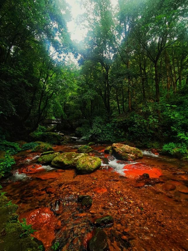 小眾秘境 | 玉溪石門峽深度遊玩攻略：解鎖哀牢山的清幽與壯闊