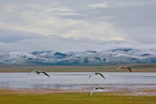 8월의 가하이, 눈이 그림 속으로 들어오다