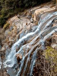 雲海之上聽松風——武平梁野山景區