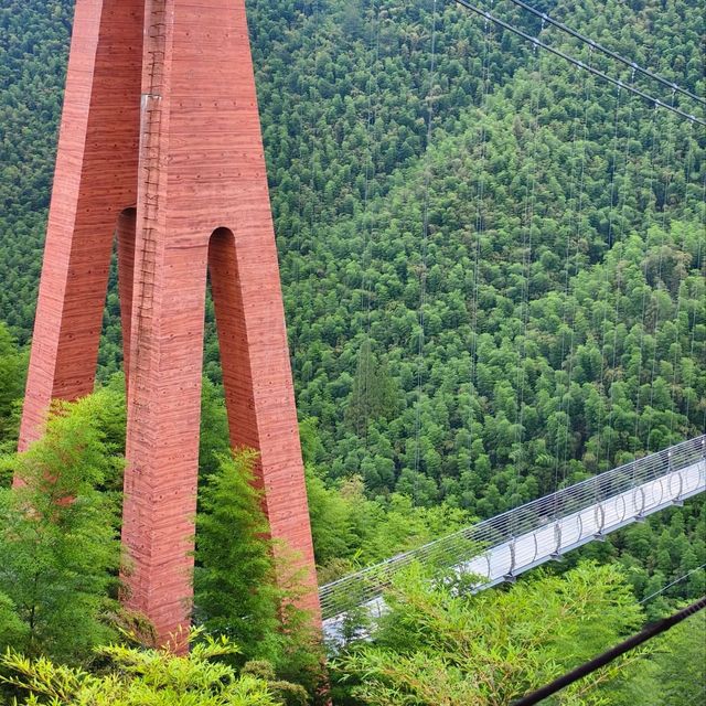 This is the Legendary Bamboo Forest of Crouching Tiger