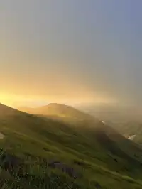 寧德柘榮鴛鴦草場。