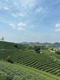 Anji 3 Days Travel Guide