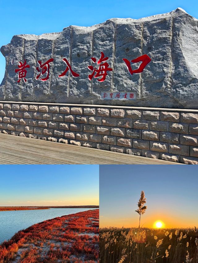 天津出發4小時，帶娃看「黃河入海流」奇觀，還能趕海抓螃蟹