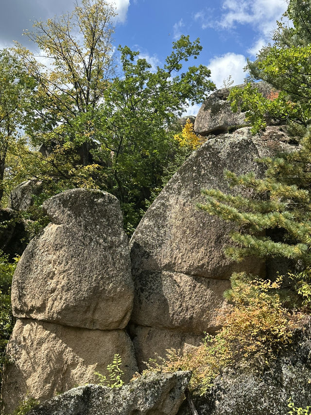 長白山紅石峯生態風景區紅楓染紅了峯頂