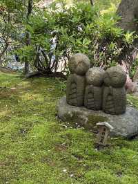 🌿 Hasedera Temple Garden: Where Zen Harmony Paints in Endless Green! 🍃