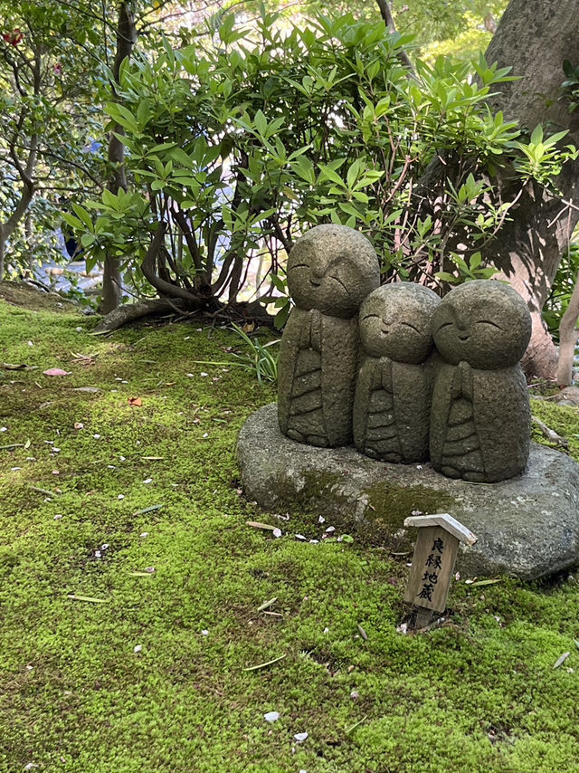 🌿 Hasedera Temple Garden: Where Zen Harmony Paints in Endless Green! 🍃