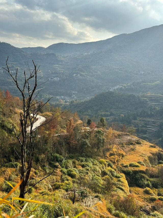 去南黃古道，抓住最後的秋天
