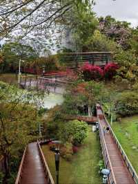 雨中深圳絕美中式園林