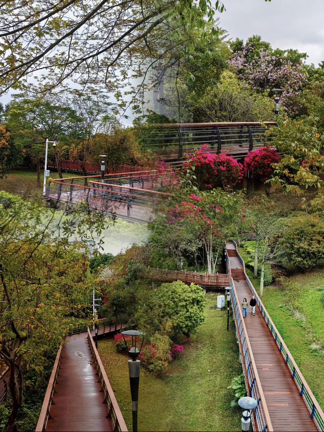 雨中深圳絕美中式園林