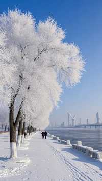遇見最夢幻的冰雪奇緣！