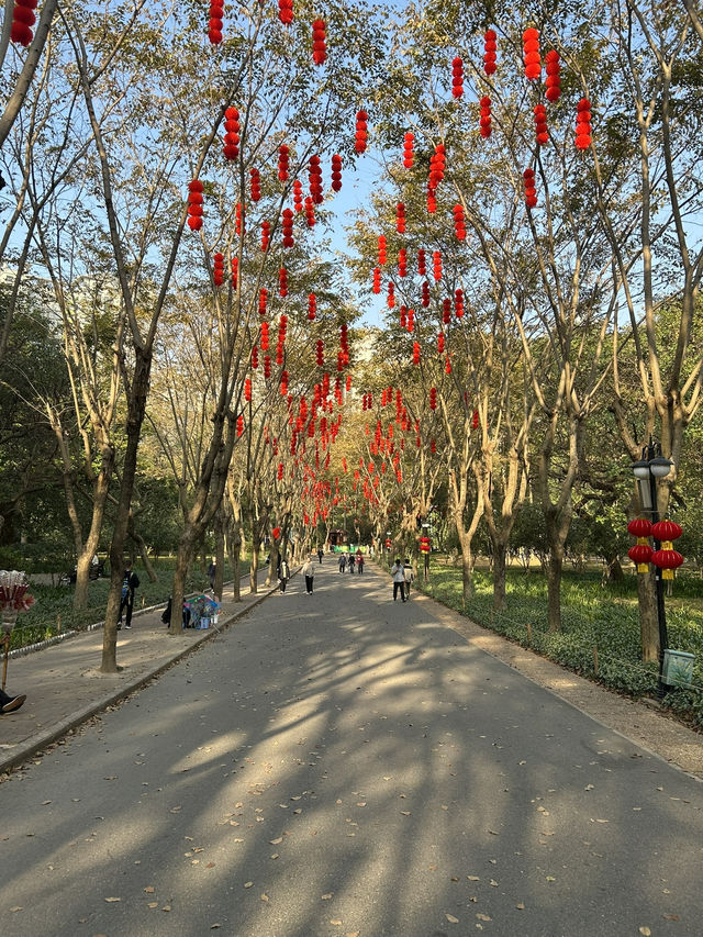 🌿 蓮花山公園 × 深業上城 × 筆架山｜搭捷運就能抵達的城市綠洲