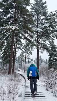嵩山雪後必去！一秒穿越武俠仙境，美到窒息！