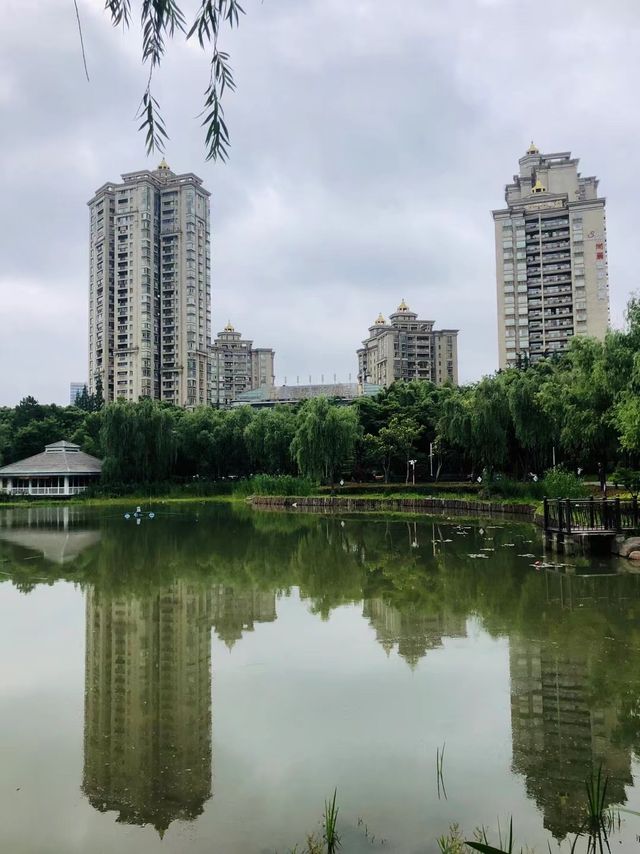 藏在上海的都市桃源，新虹橋中心花園的夢幻謐境！