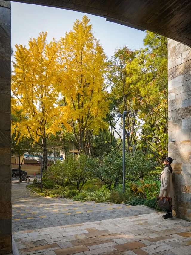 還有1個月｜魔都市區的調色盤公園即將上線