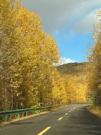 秋天的大興安嶺 live 