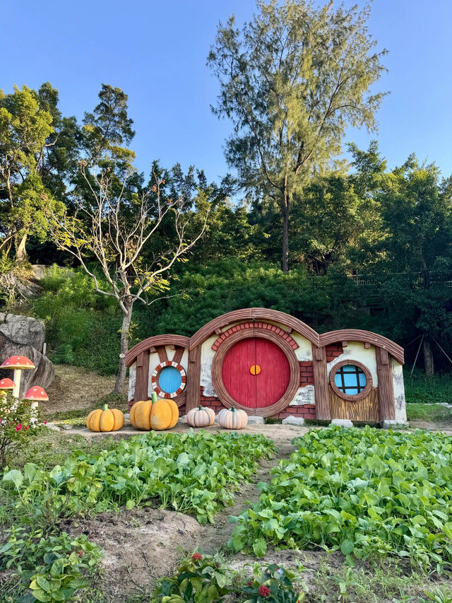 金灣木頭沖|走進童話世界 金灣木頭沖|走進童話世界