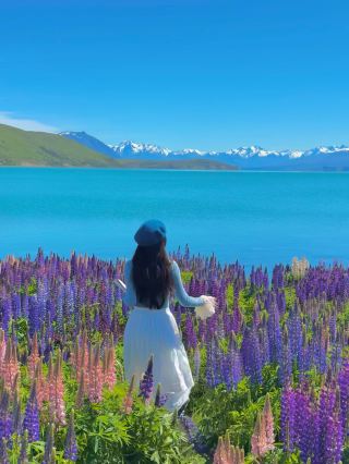 Next month is the most beautiful time in New Zealand