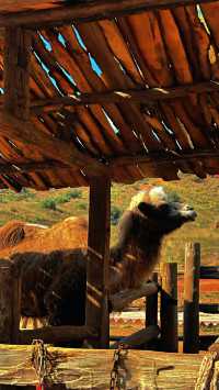 水墨丹霞絕美攝影地