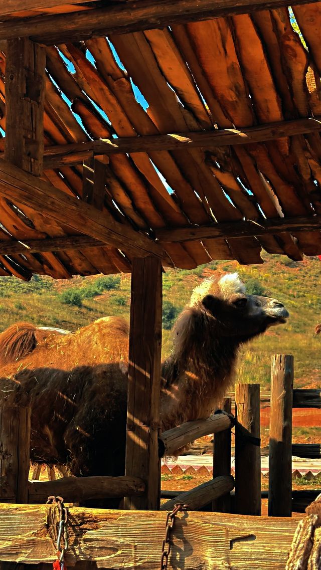 水墨丹霞絕美攝影地 水墨丹霞絕美攝影地