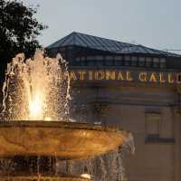 📸 런던, 눈에 담은 순간들