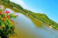 帶你玩轉深圳這座「未來感」與「煙火氣」並存的寶藏城市