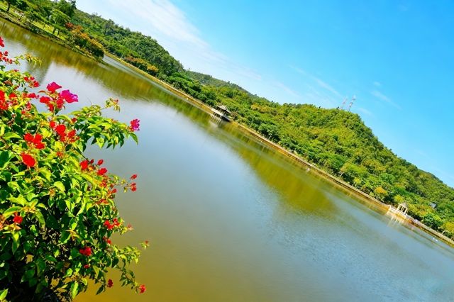 帶你玩轉深圳這座「未來感」與「煙火氣」並存的寶藏城市