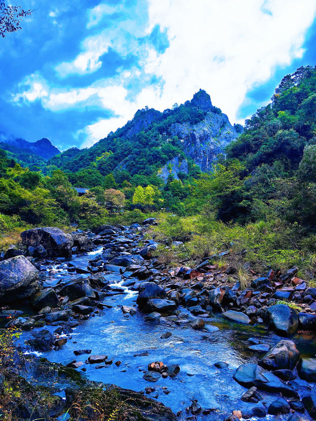 雨中探秘︱永恆山水詩，最美桃花源