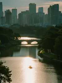 挖到深圳市中心遛娃寶地！人少景美還免費