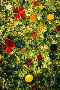 魔都外灘半島酒店超大聖誕樹已就位