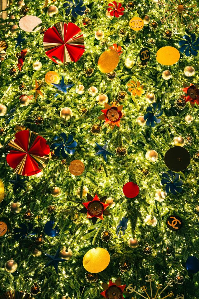 魔都外灘半島酒店超大聖誕樹已就位 魔都外灘半島酒店超大聖誕樹已就位