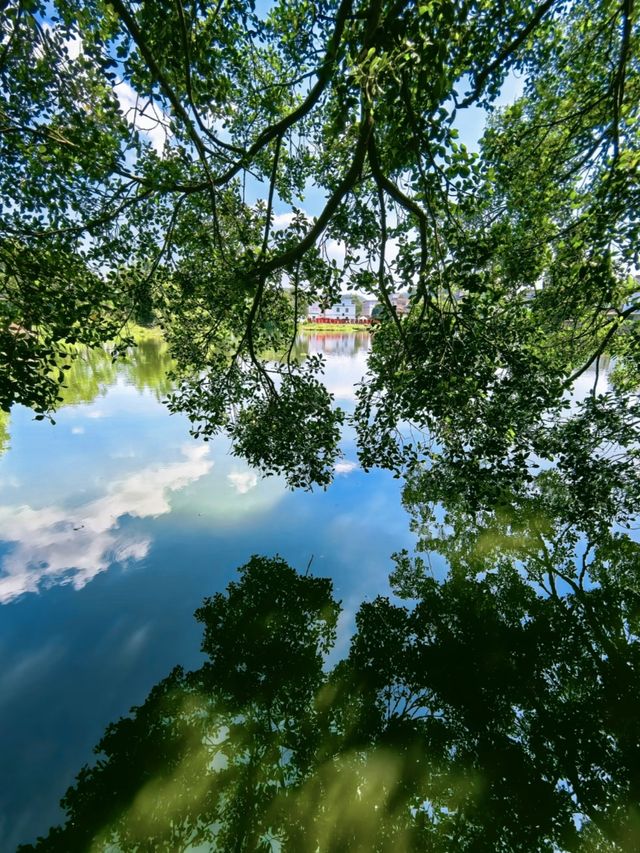 探秘嶺南理學第一村 探秘嶺南理學第一村