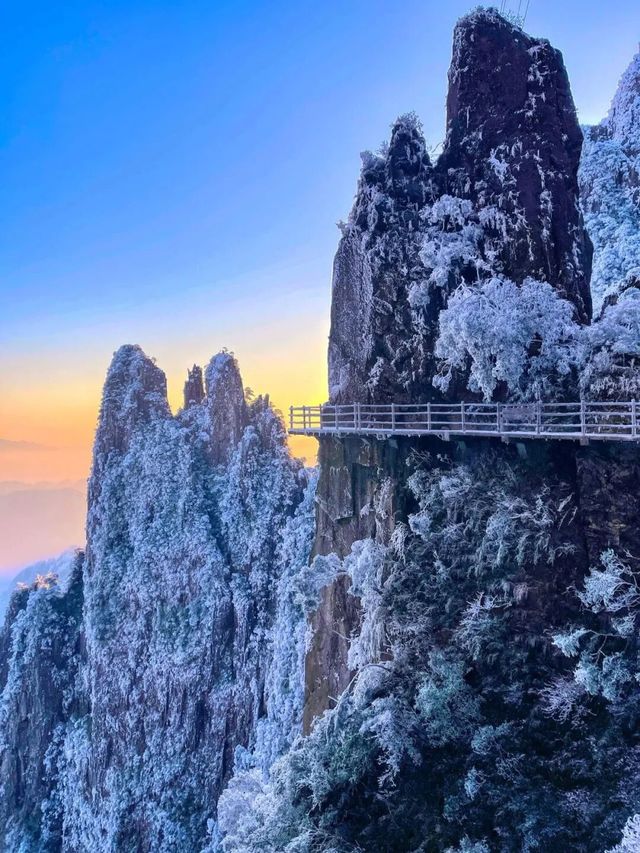 莽山五指峰霧淞奇觀來襲