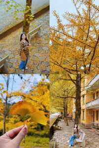 驅車4h來到韶關 就為了尋找秋天的顏色