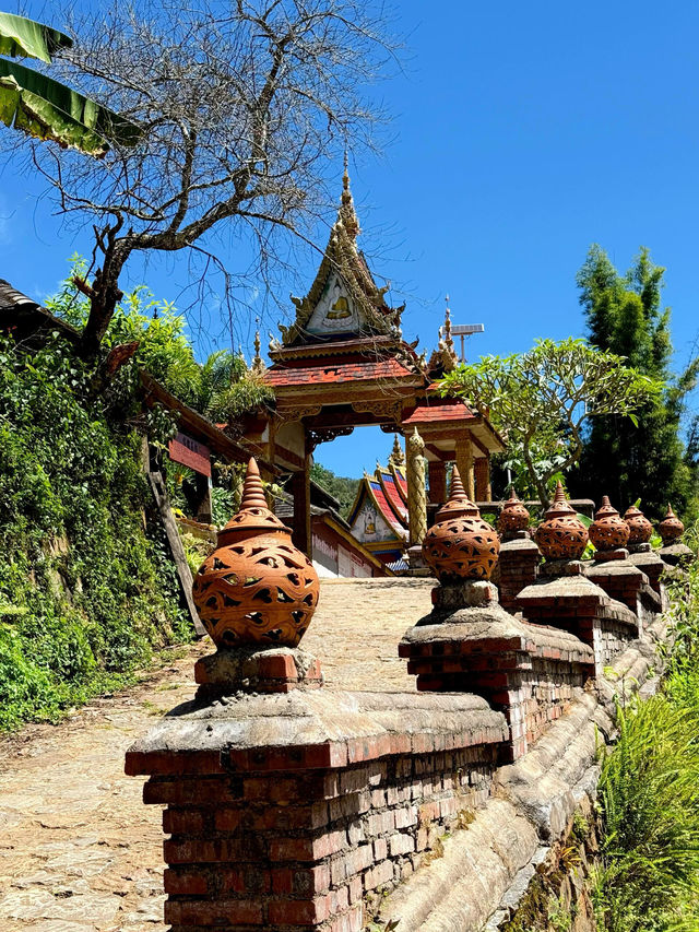 世遺糯乾古寨~在千年茶山與雲海之間穿梭 世遺糯乾古寨~在千年茶山與雲海之間穿梭