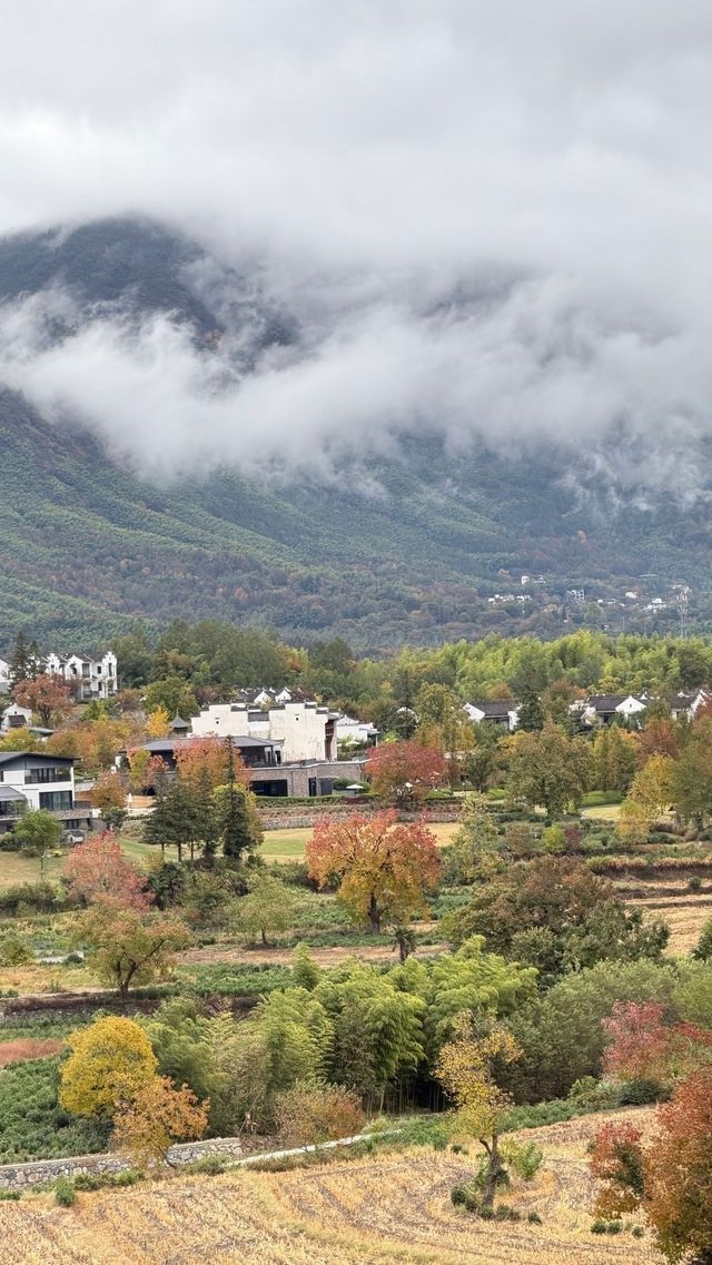 徽州古城秋日漫步