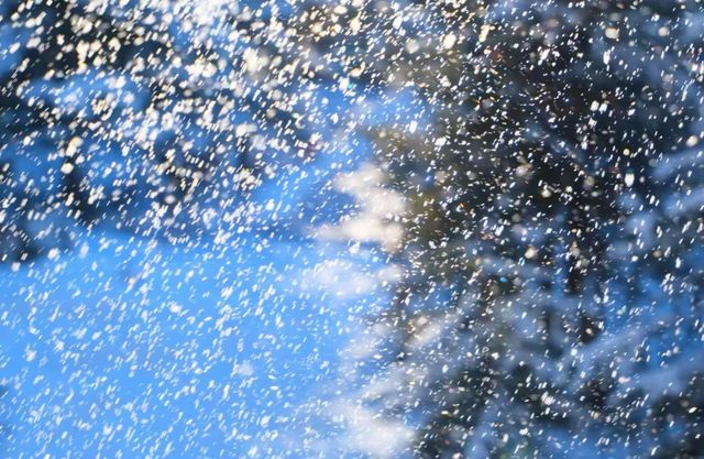 等一場阿勒泰的雪，赴人間純白之約