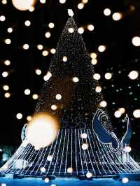 北海道札幌冬日點燈全攻略比東京還浪漫的白色燈樹節?