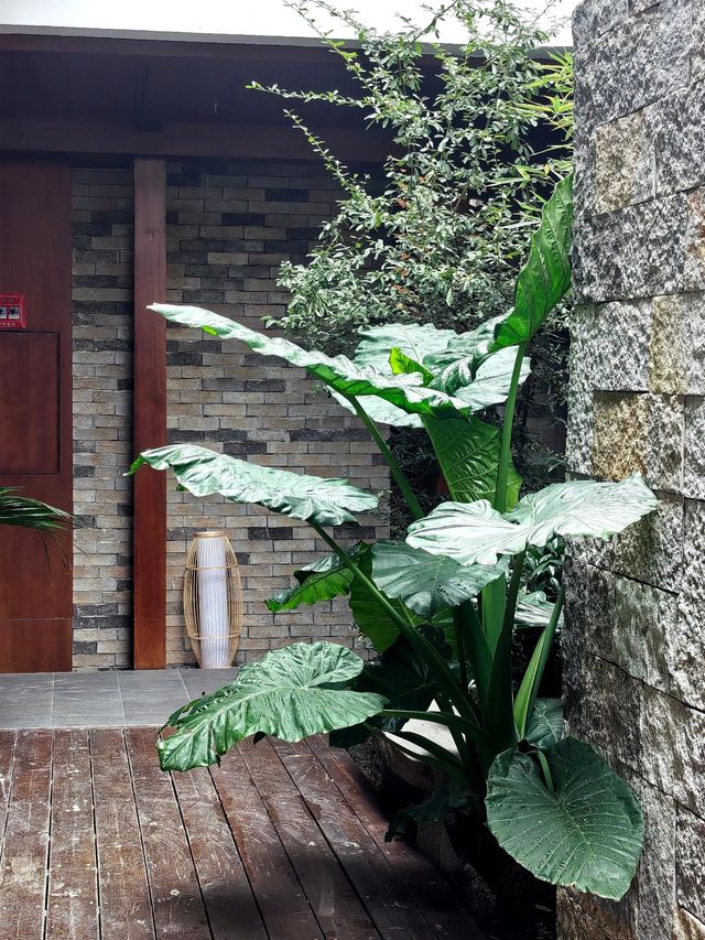 窗景治癒系民宿推薦