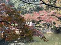 秋日虞山賞楓季