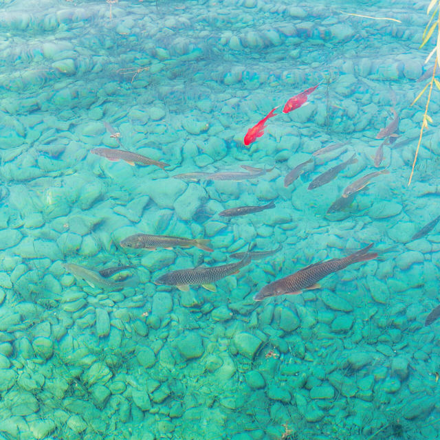 河南藏着個「北方小西湖」！7點前免費逛，1.5h直達玻璃泉