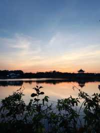 先喊一句:揭陽西湖你還有多少驚喜是我們不知道的!