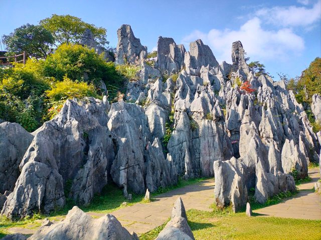 20℃冰鎮夏天!重慶1.5h直達的秘境瀑布,亞洲最大洞中奇觀 20℃冰鎮夏天!重慶1.5h直達的秘境瀑布,亞洲最大洞中奇觀