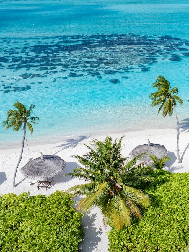 這個小眾又寶藏的居民島怎麼可以這麼美! 這個小眾又寶藏的居民島怎麼可以這麼美!